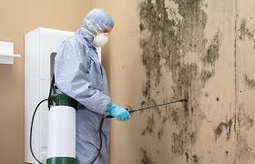 Best Airborne Mold Testing  in Highlands Ranch, CO